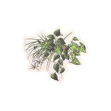 Load image into Gallery viewer, Sticker - Flowers - Greenery - Laptop - Tumbler